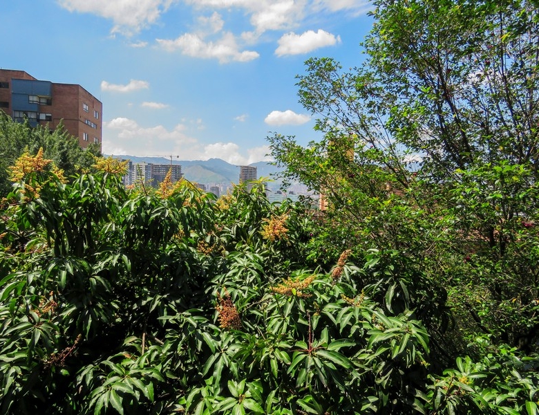 Apartamento Amoblado en Medellín. El Poblado.