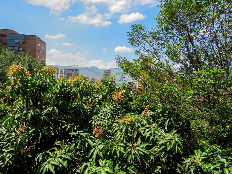 Apartamento Amoblado en Medellín. El Poblado.